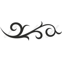 Elegant Swirl
