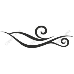 Elegant Swirl