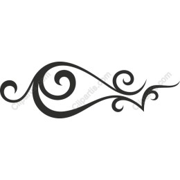 Elegant Swirl