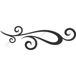 Elegant Flourish