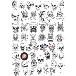 Skull Set - Unique