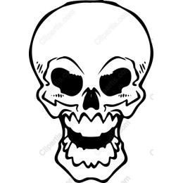 Bold Skull