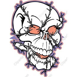 Barbed Wire Skull