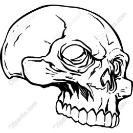 Intricate Skull