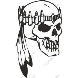 Bold Feathered Skull
