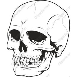 Premium Skull