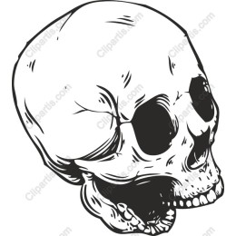 Stylish Skull Clipart
