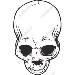 Intricate Skull