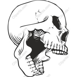 Side Profile Skull