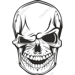 Edgy Skull