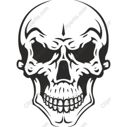 Bold Skull