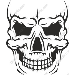 Bold Skull
