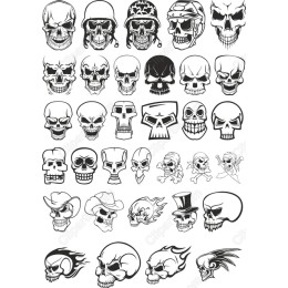 Skull Collection - 40 Edgy s