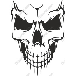 Intricate Skull