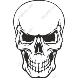 Premium Skull