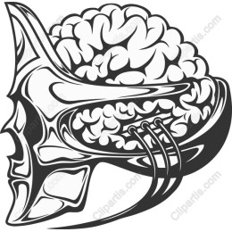 Intellectual Symphony: Brain and Horn