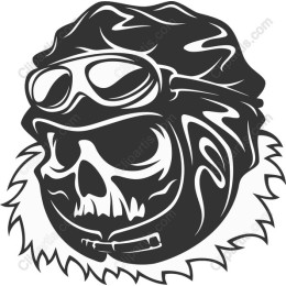 Skull Pilot
