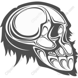Stylized Skull
