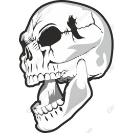 Intricate Skull