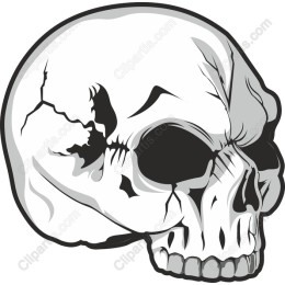 Edgy Skull