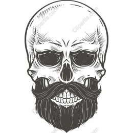 Vintage Skull with Mustache