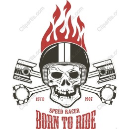Born to Ride Motorcycle Skull