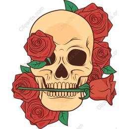 Skull and Roses
