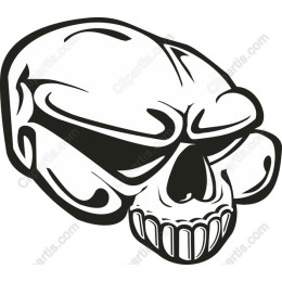 Bold Skull