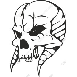 Edgy Skull