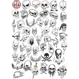 Skull Set - 50 Unique