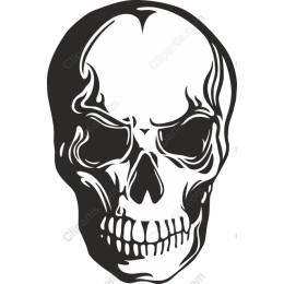 Bold Skull