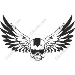 Skull with Wings