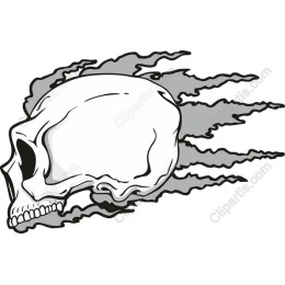 Dynamic Skull