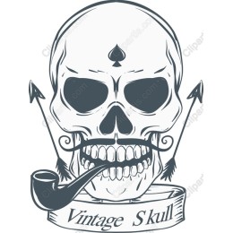 Vintage Skull