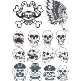 Skull & Pirate Bundle