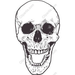 Intricate Skull