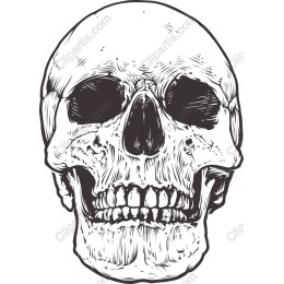 Vintage Skull