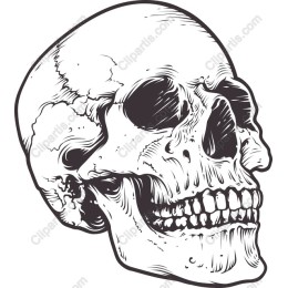 Intricate Skull