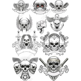 Skull Collection - Edgy
