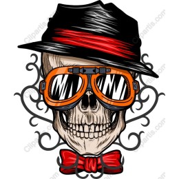 Fashionable Skull