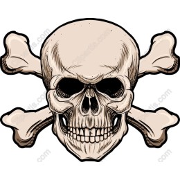 Premium Skull and Crossbones
