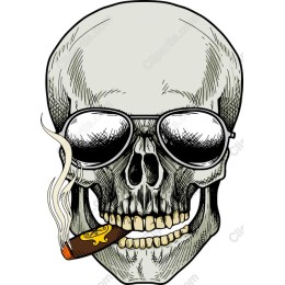 Edgy Skull Sunglasses