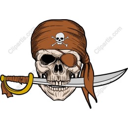 Pirate Skull