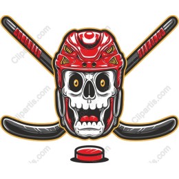 Skull Hockey Helmet