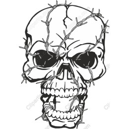 Bound Skull