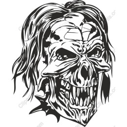  Skull with Long Hair
