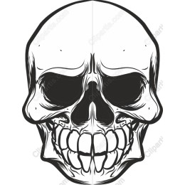 Gothic Skull