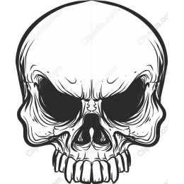Edgy Skull