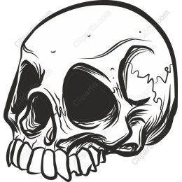 Hand-Drawn Skull