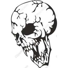 Grim Elegance Skull